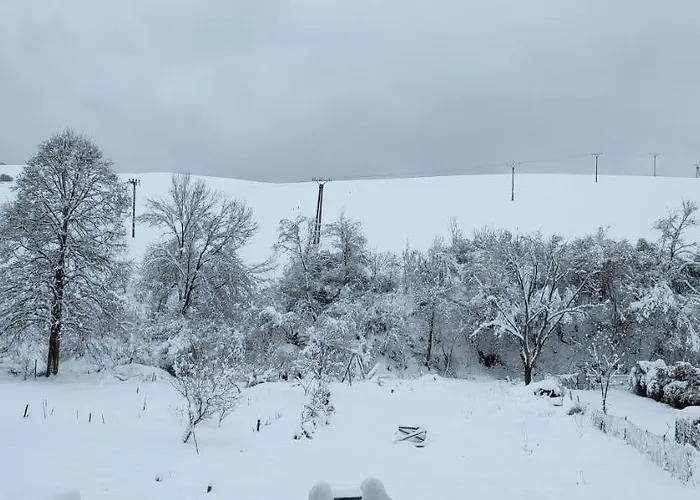 Vila Havka Σπίτι διακοπών *